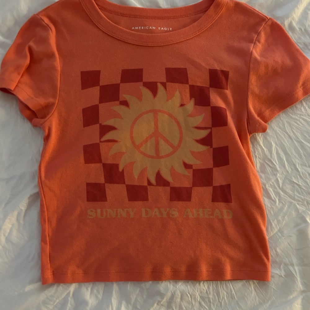 American Eagle Outfitters Rust Crop Top with Graphic Designs